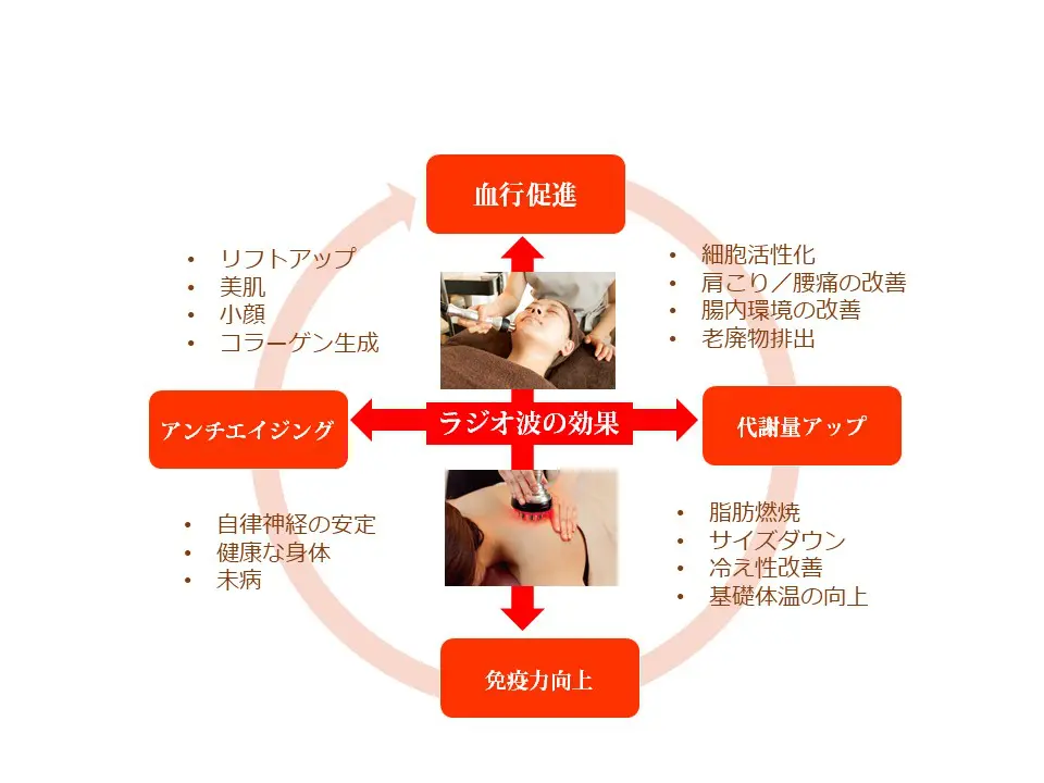 1518135845.jpg.webp